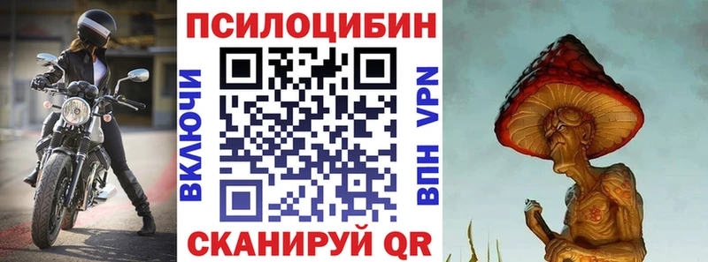 blacksprut как зайти  Удомля  Галлюциногенные грибы мухоморы 
